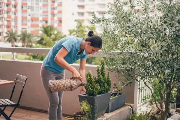 Dicas Essenciais de Técnicas de Irrigação para Jardins Verticais em Ambientes Fechados